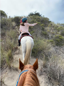 girl on horse in dunes