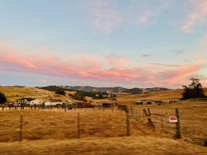 ranch landscape